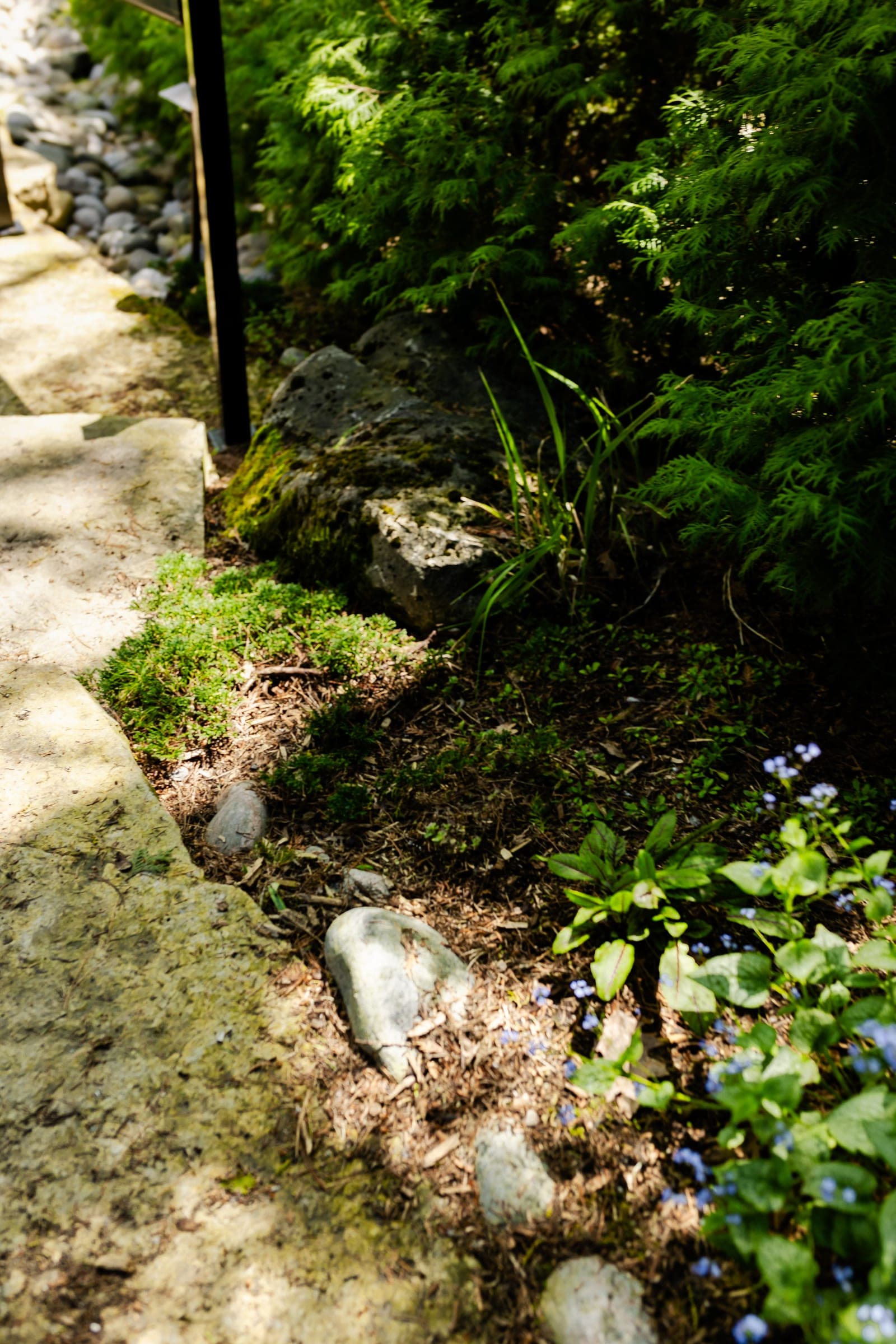Stuart Thomas Construction — Redi-Rock retaining wall installation in South Georgian Bay — Stc 318. Materials supplied by The Sarjeant Co.