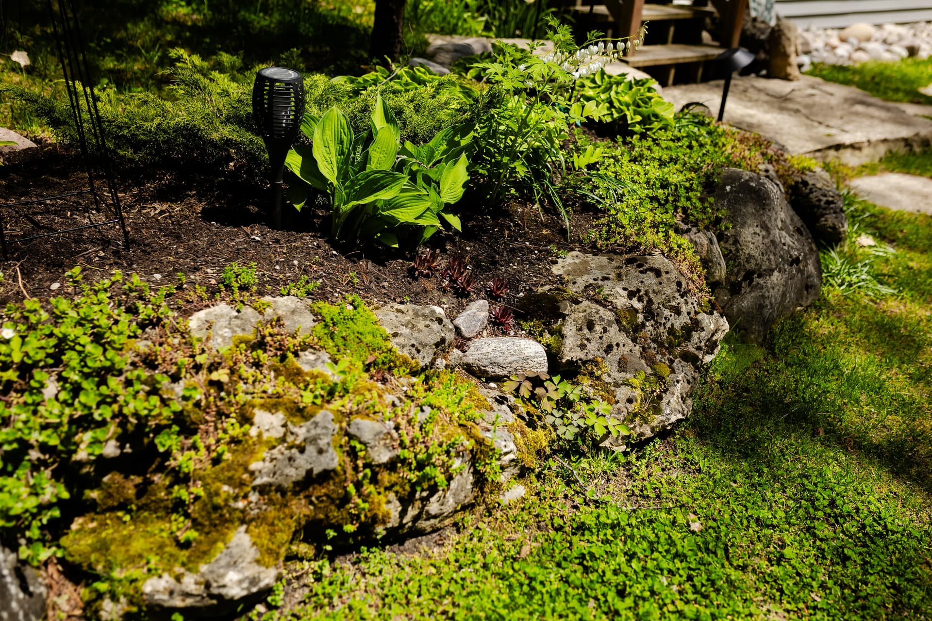 Stuart Thomas Construction — landscaping project in South Georgian Bay — Stc 332